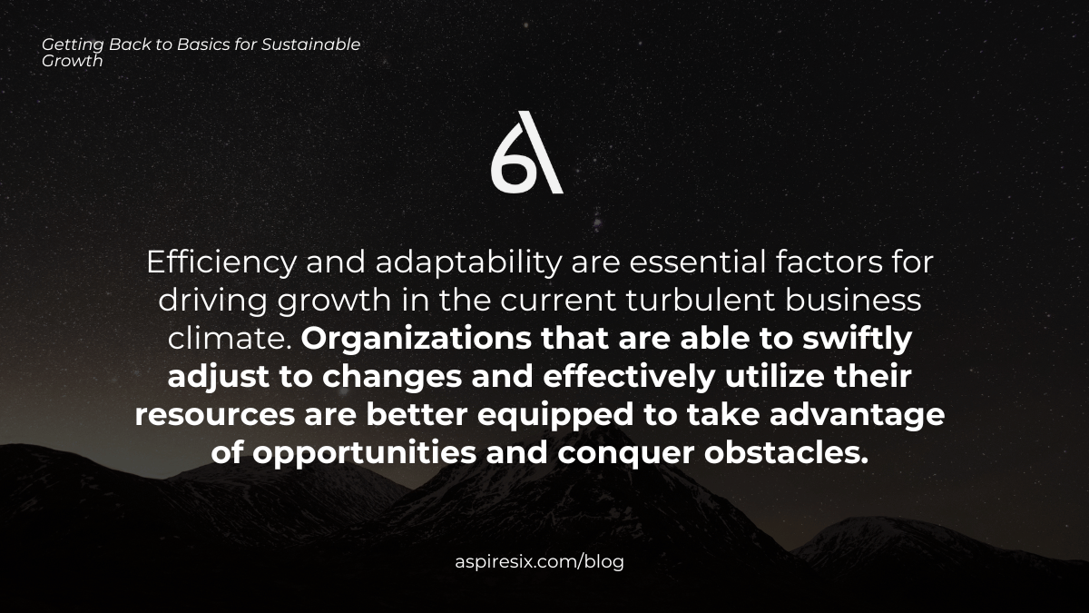 Efficiency and adaptability are essential for growth
