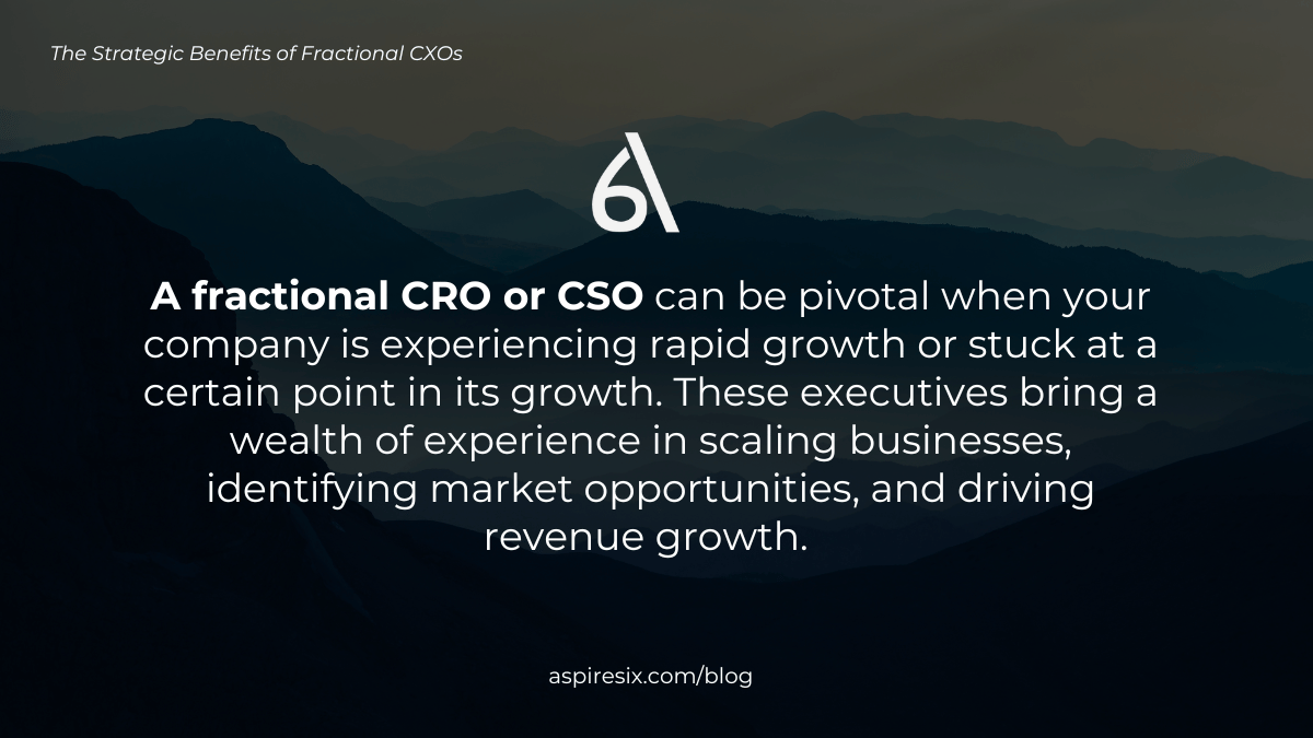 Fractional CXOs helps in a company's growth